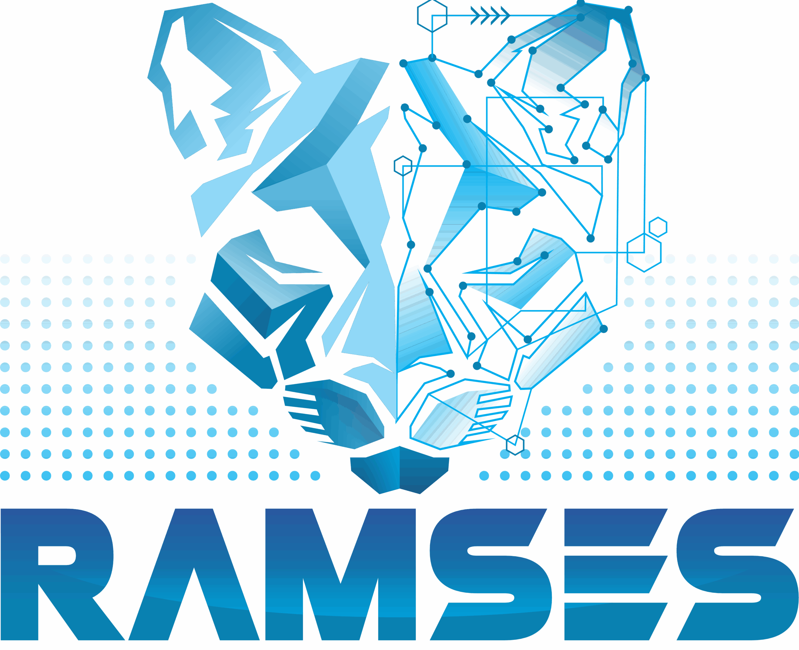 Ramsa Logistic